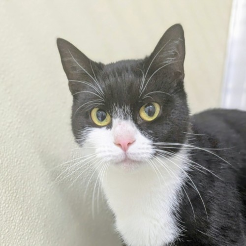 🌱 Roisin 6085 🌱