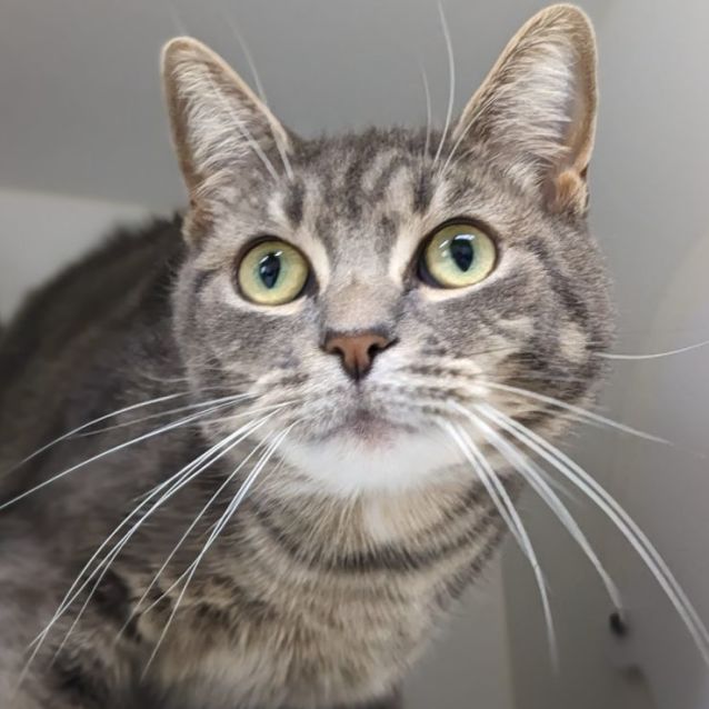 Photo of 🌺 Odette F02732 🌺