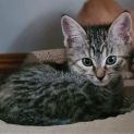 Photo of Winnie