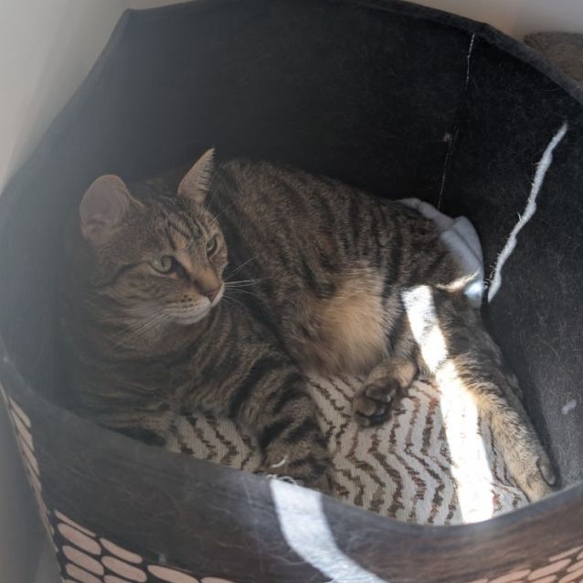 Photo of Ruby