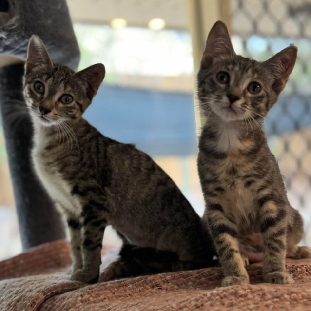 Photo of Mazzy And Peta