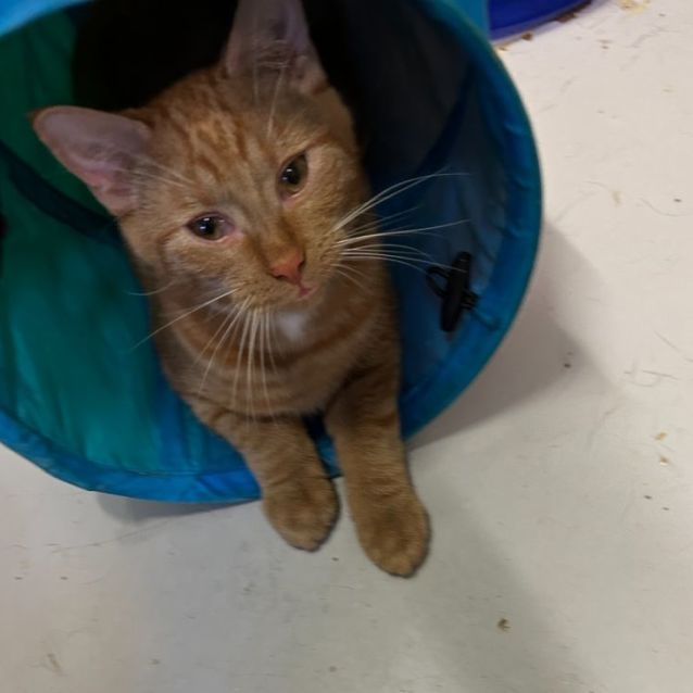 Photo of Jobe And Jimbo