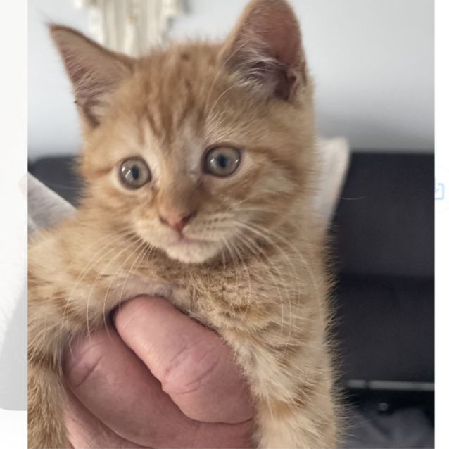 Photo of Meg & Micky