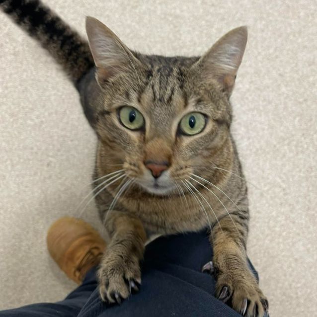 Photo of Trouble Bubble