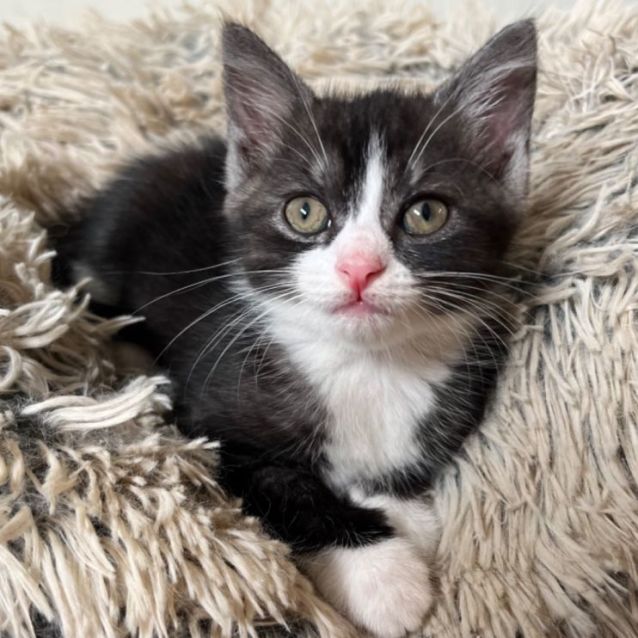 Photo of 🧡 Thea 🧡