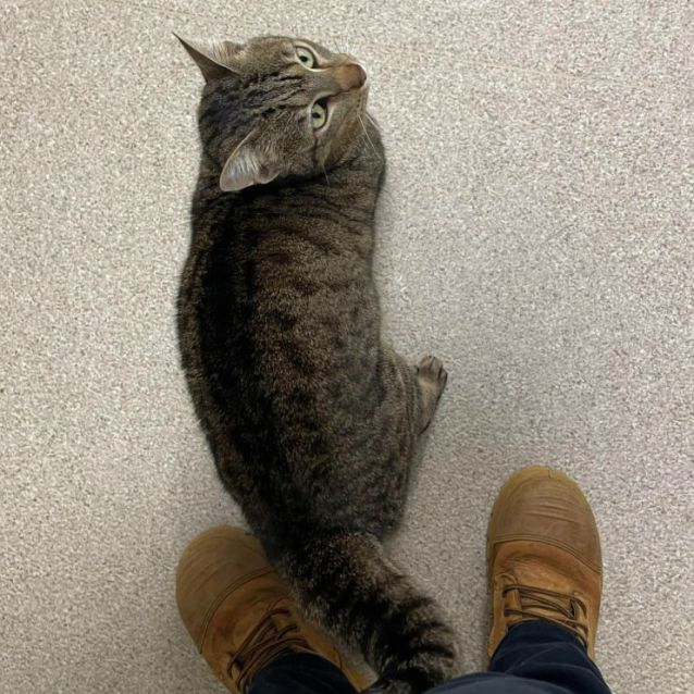 Photo of Trouble Bubble