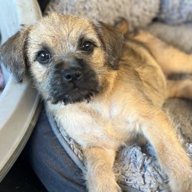 Photo of Sienna 🌞