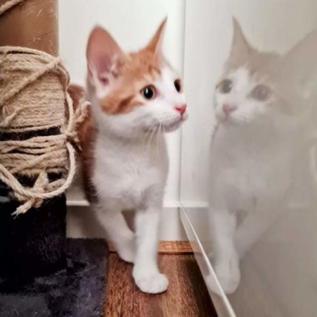 Photo of Duo