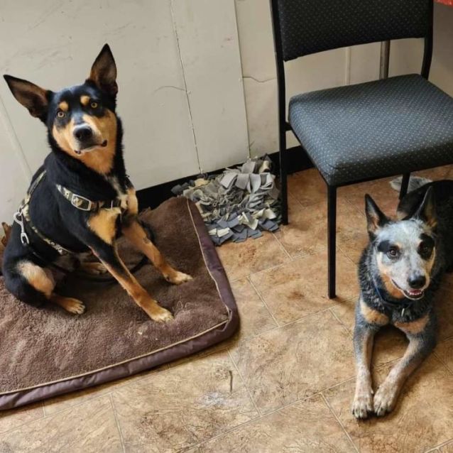 Photo of Dixie Normous