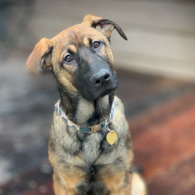 Photo of Wittamer 