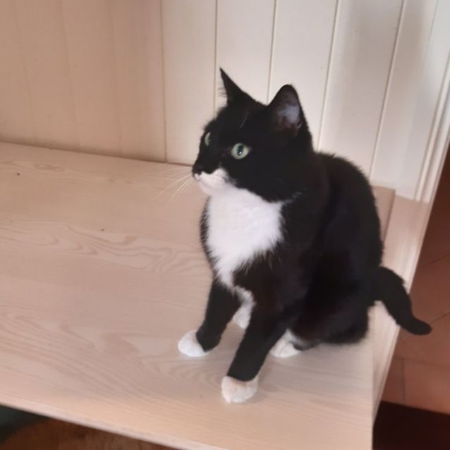 Photo of Maggie Magpie