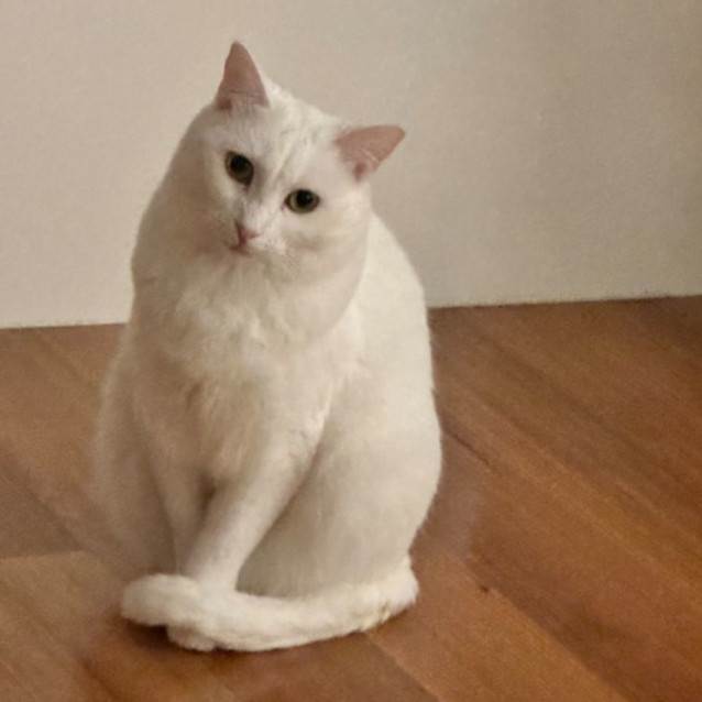 Photo of Cressy 🌸