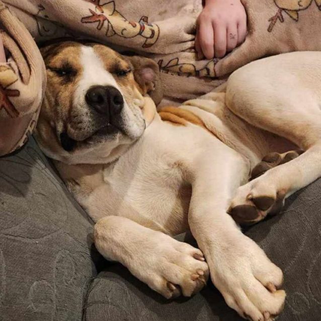 Photo of Casper