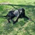 Photo of Blossom