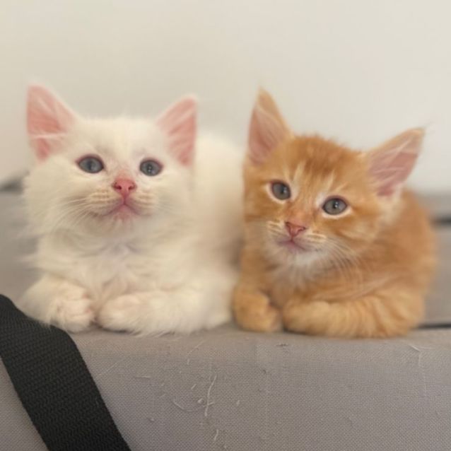 Photo of Rouen & Bordeaux 