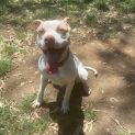 Photo of Philbert