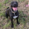 Photo of Xena