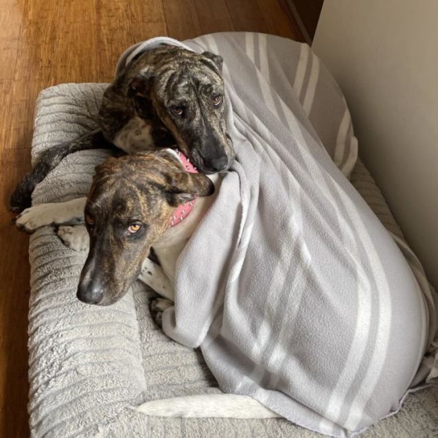 Photo of 💙🤪 Floyd 🤪💙