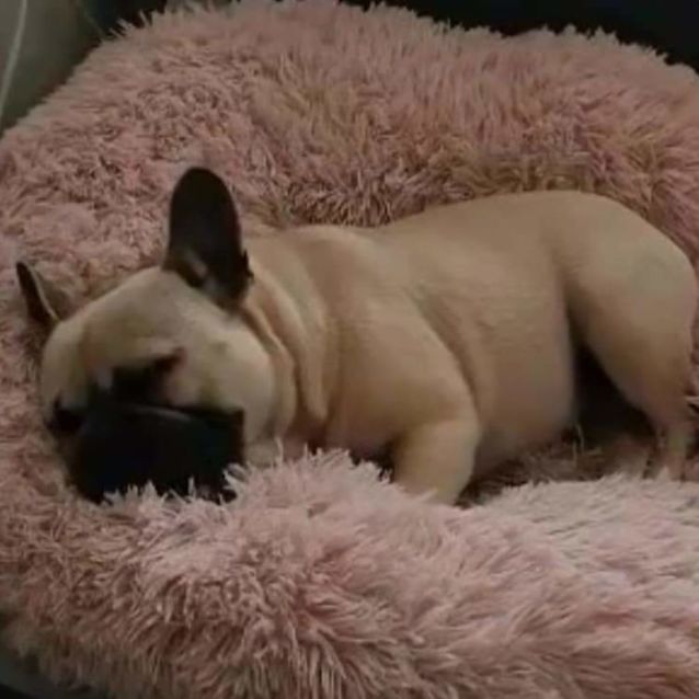 Photo of Lottie And Hakan