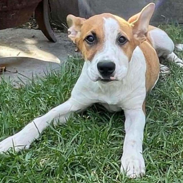 Photo of Princess Florine