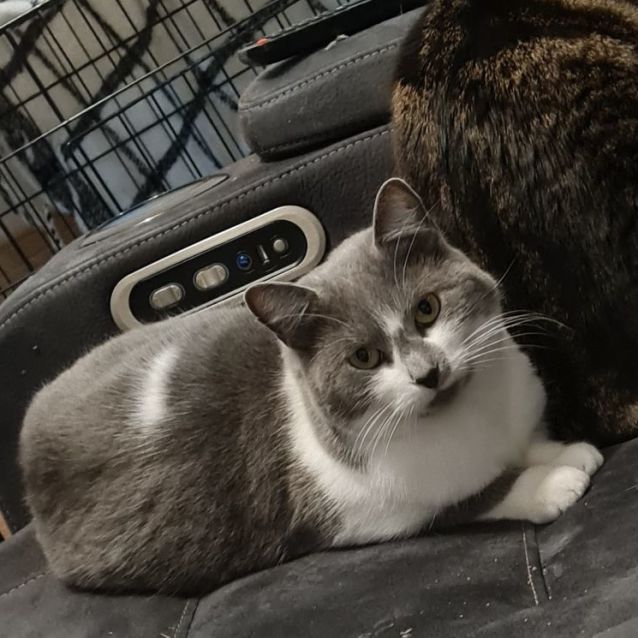 Photo of Ri Ri (Located In Pakenham)