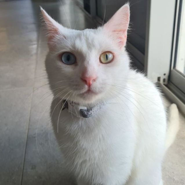 Photo of Salt