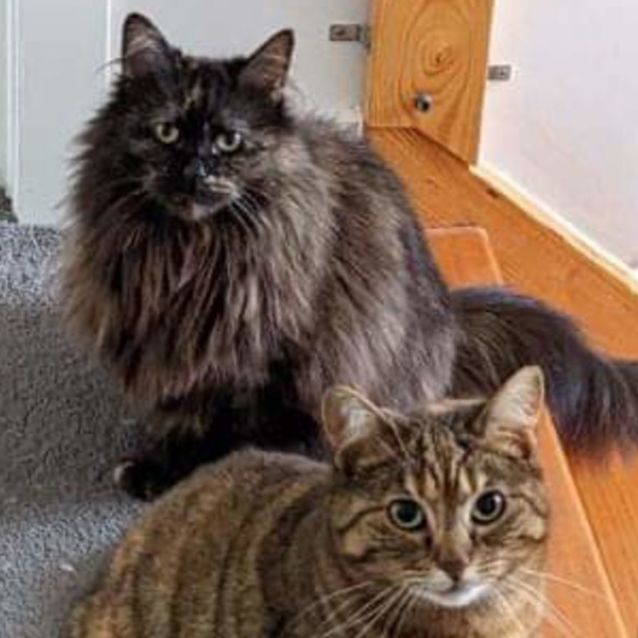 Photo of Lulu & Daria (Aka "Tubs" And "Floof")