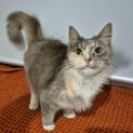 Photo of Lily