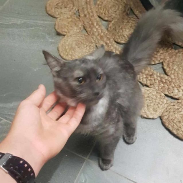 Photo of Mystique