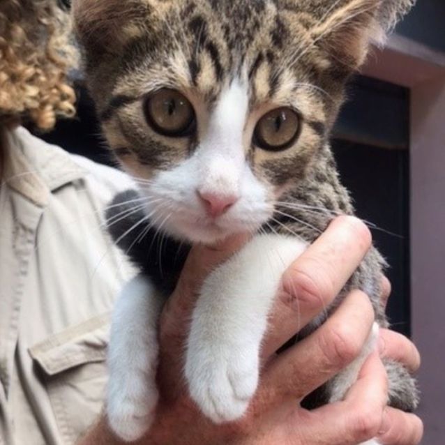 Photo of C1288 Parky