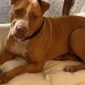 Photo of Diego