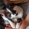 Photo of Cloudy