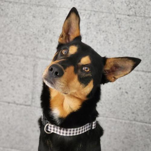 🥜 Peanut 6978 🥜