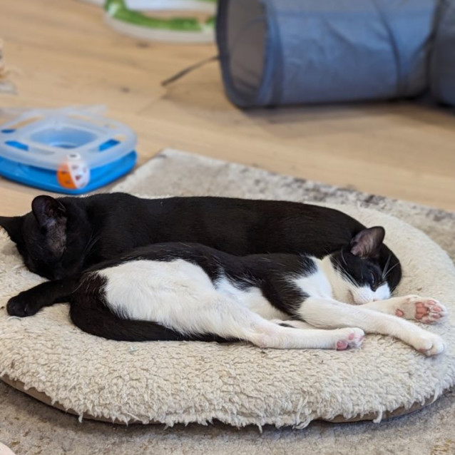 Photo of Lewis And Lily 