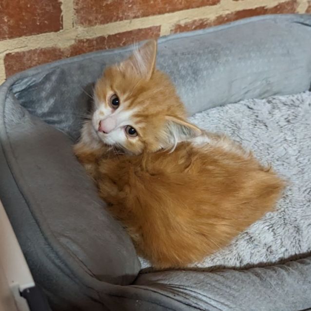 Photo of Bobby