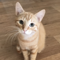 Photo of Julius