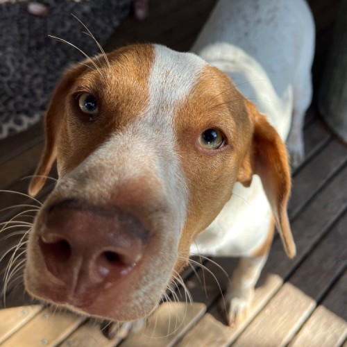 No photo for Moo 💙