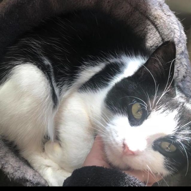 Photo of Hershey & Levi 