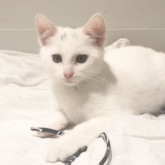 Photo of Winston