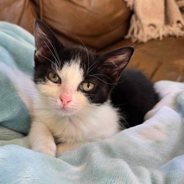 Photo of  💜 Maxine 💜