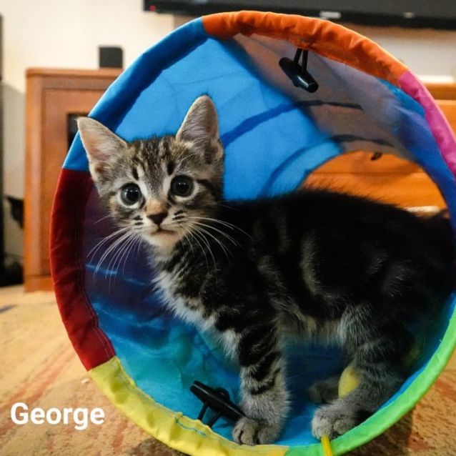 Photo of George