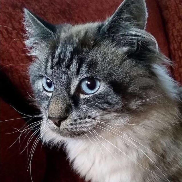 Photo of Polar