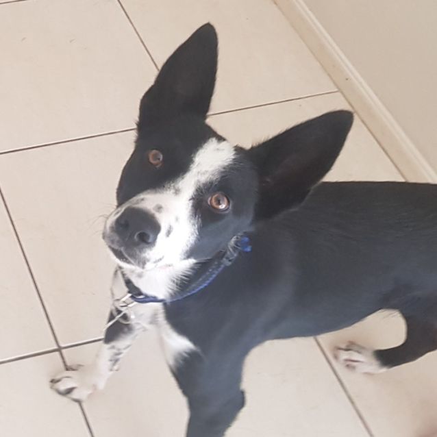 Photo of Ada