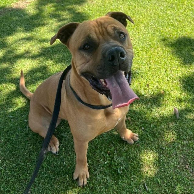 Photo of Zeke Dl2868