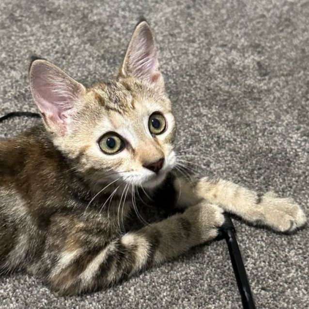 Photo of Elsie 🦋💕