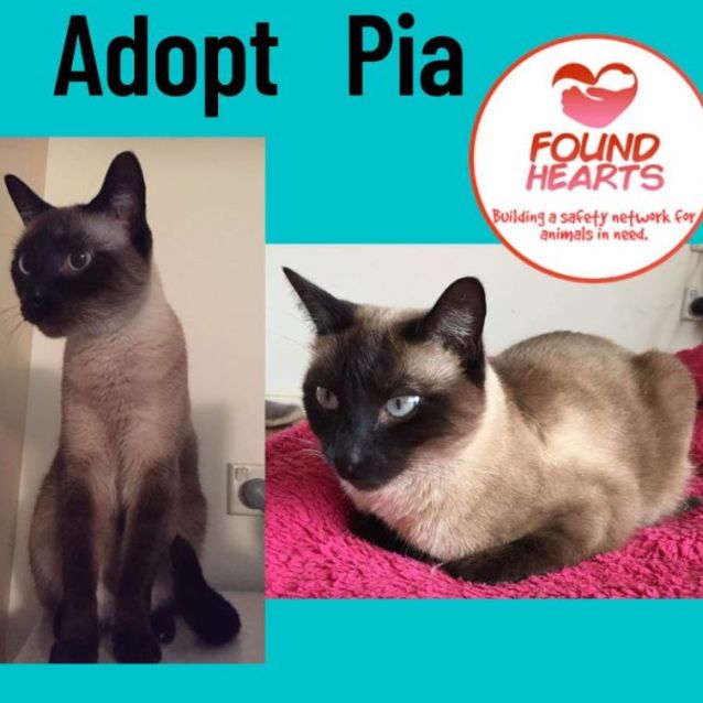 Photo of Pia