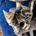 Photo of Maverick