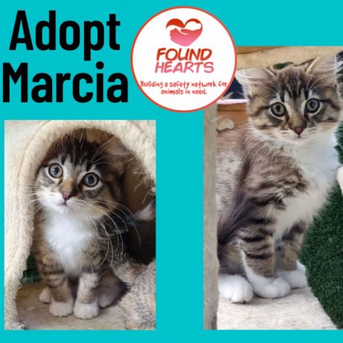 No photo for Marcia