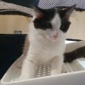 Photo of Turbo