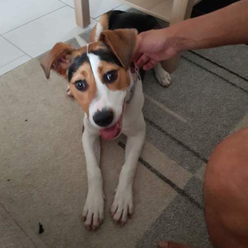 Melon ** A Special Girl ** 